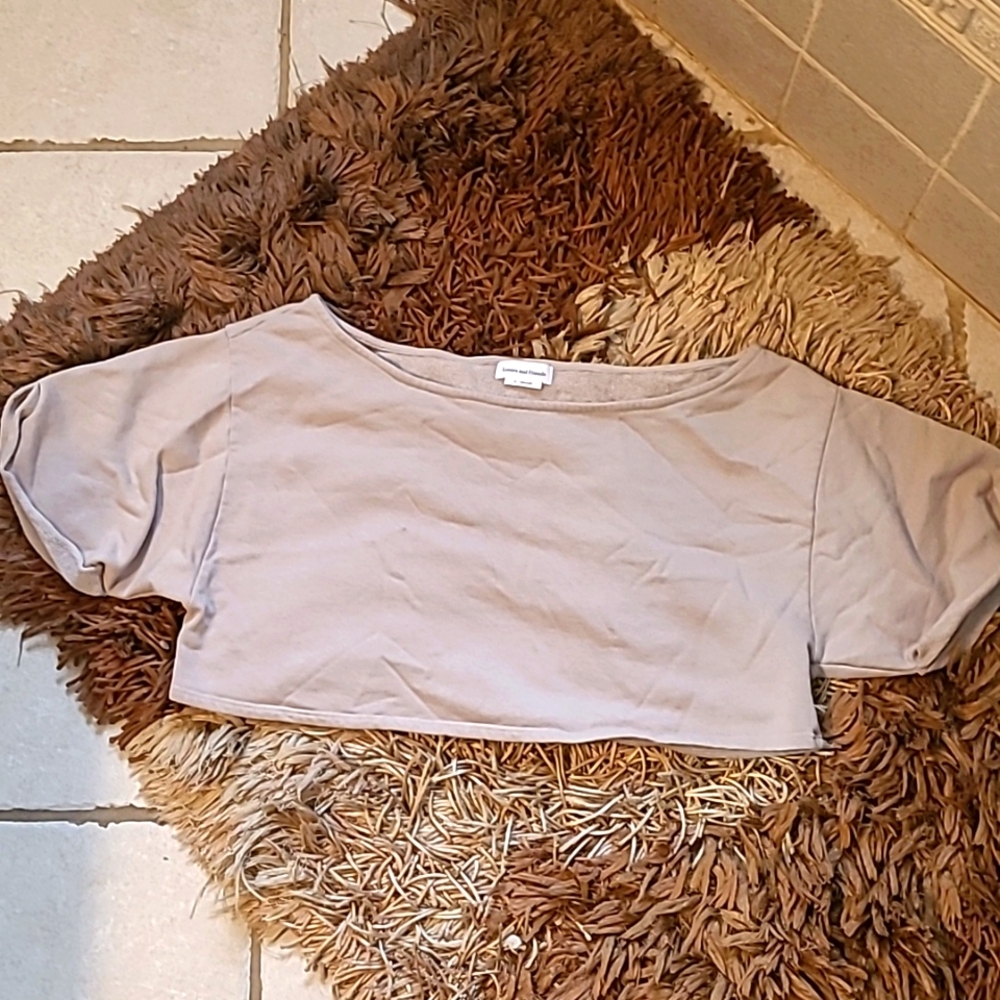 Lovers and friends crop top